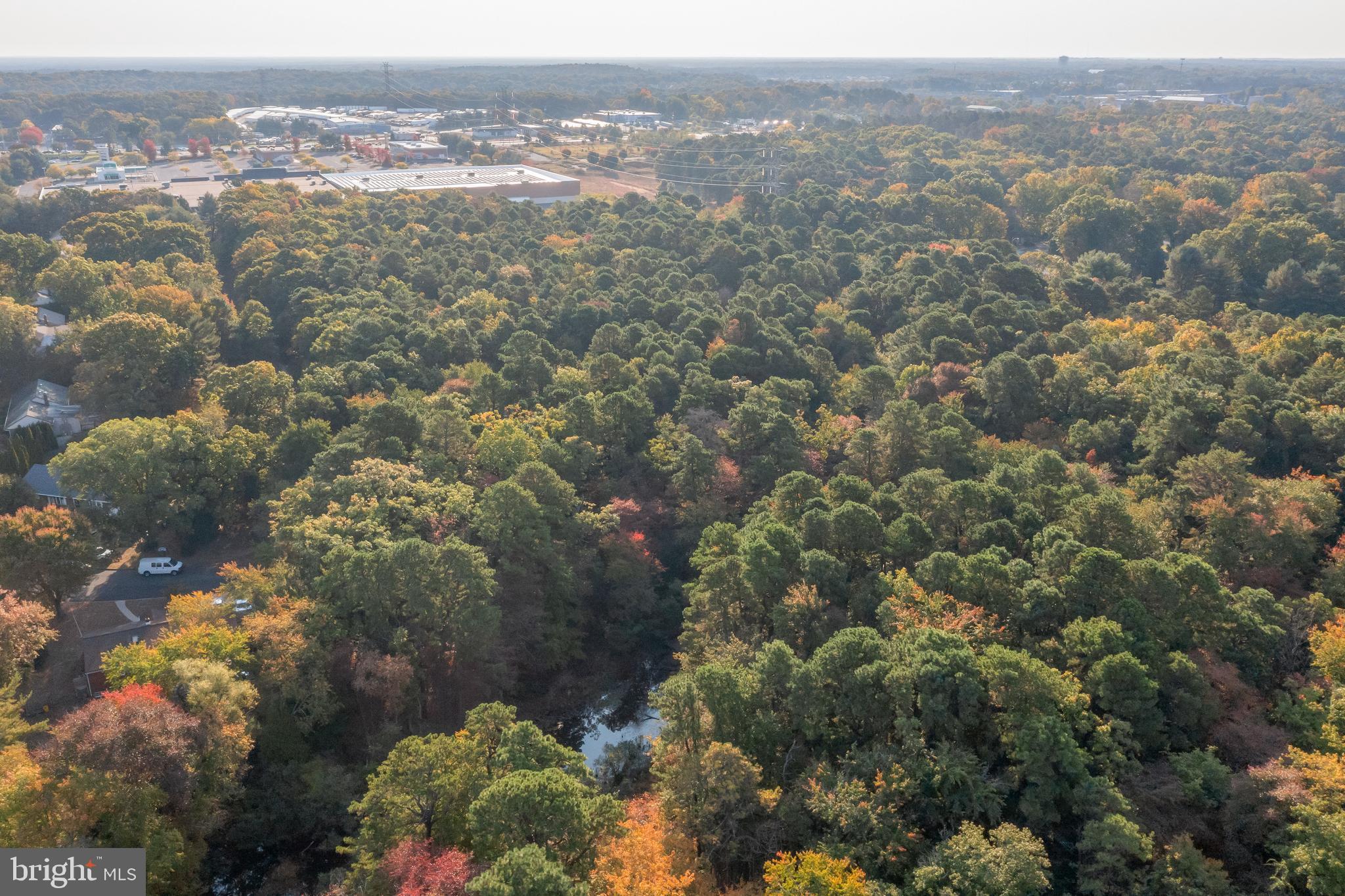 0 Cardinal Lane Voorhees, NJ 08043 - Photo 19 of 35 an aerial view of mountain with trees