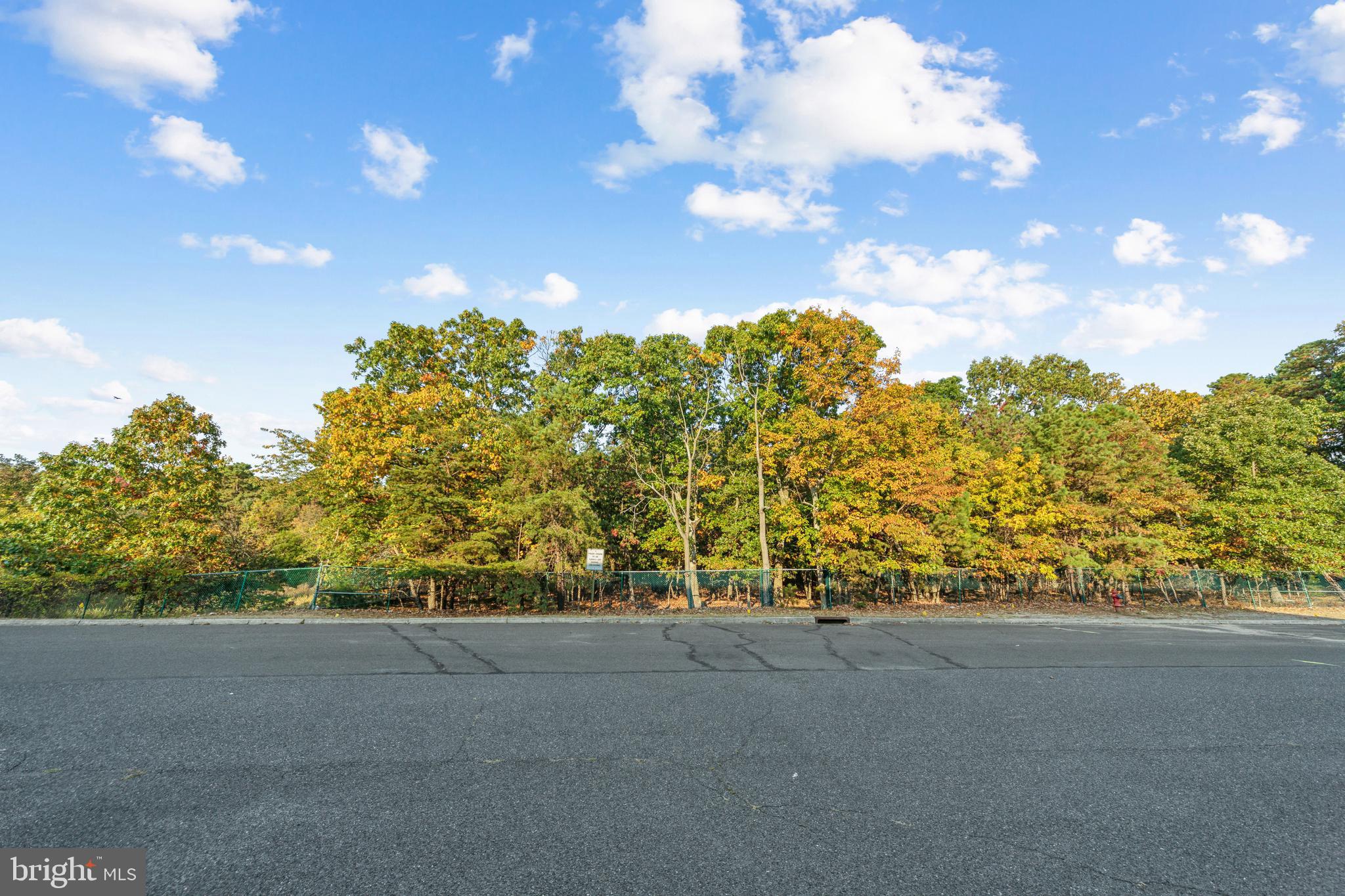 0 Cardinal Lane Voorhees, NJ 08043 - Photo 23 of 35 a view of mountain view