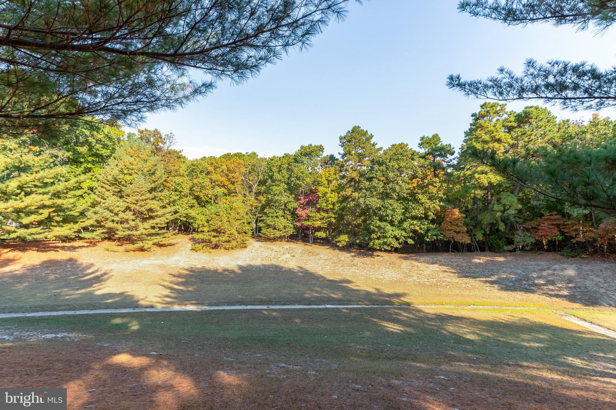 0 Cardinal Lane Voorhees, NJ 08043 - Photo 24 of 35 a view of a lake with a yard