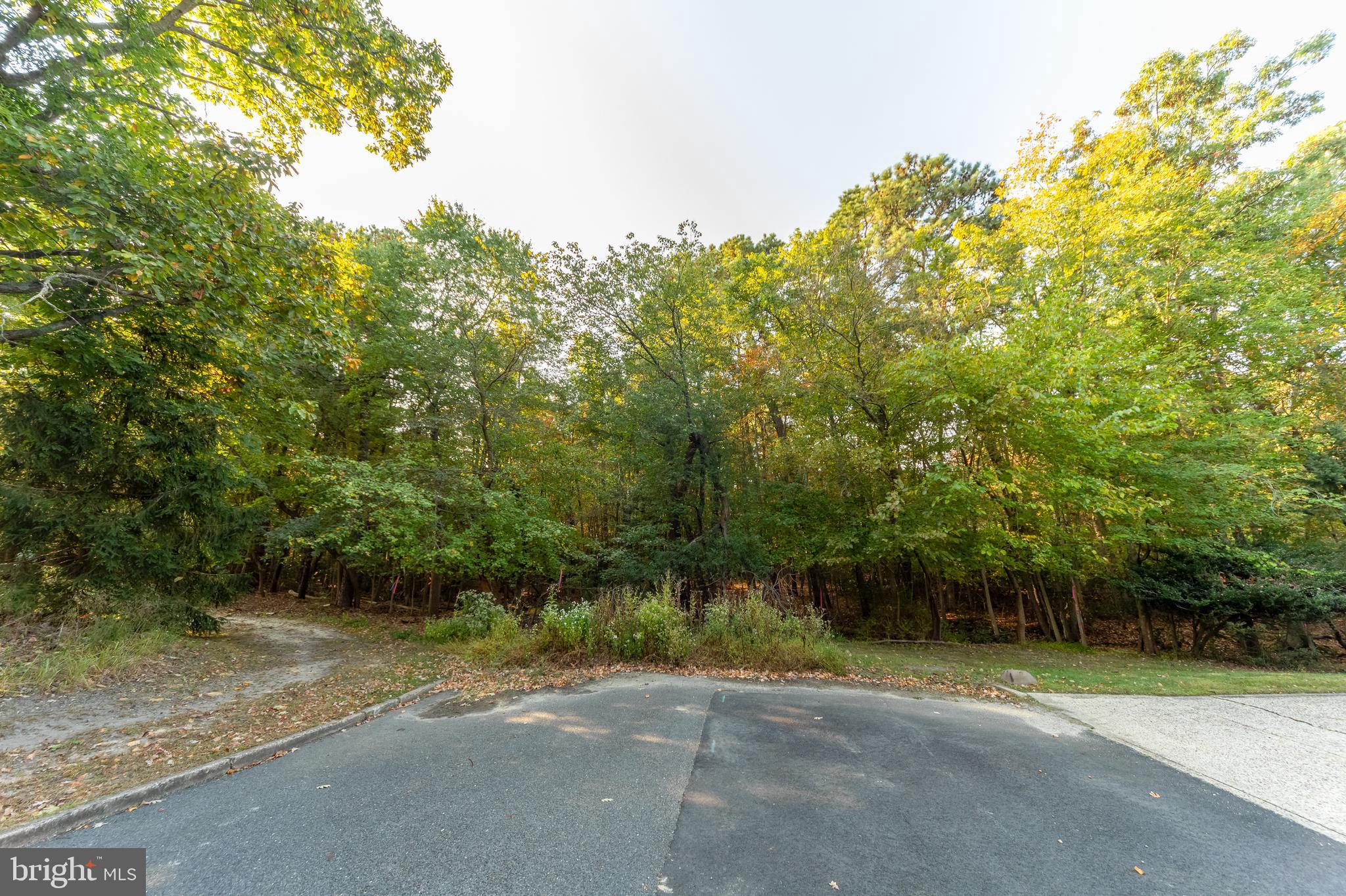 0 Cardinal Lane Voorhees, NJ 08043 - Photo 33 of 35 a view of a street with a tree in the background