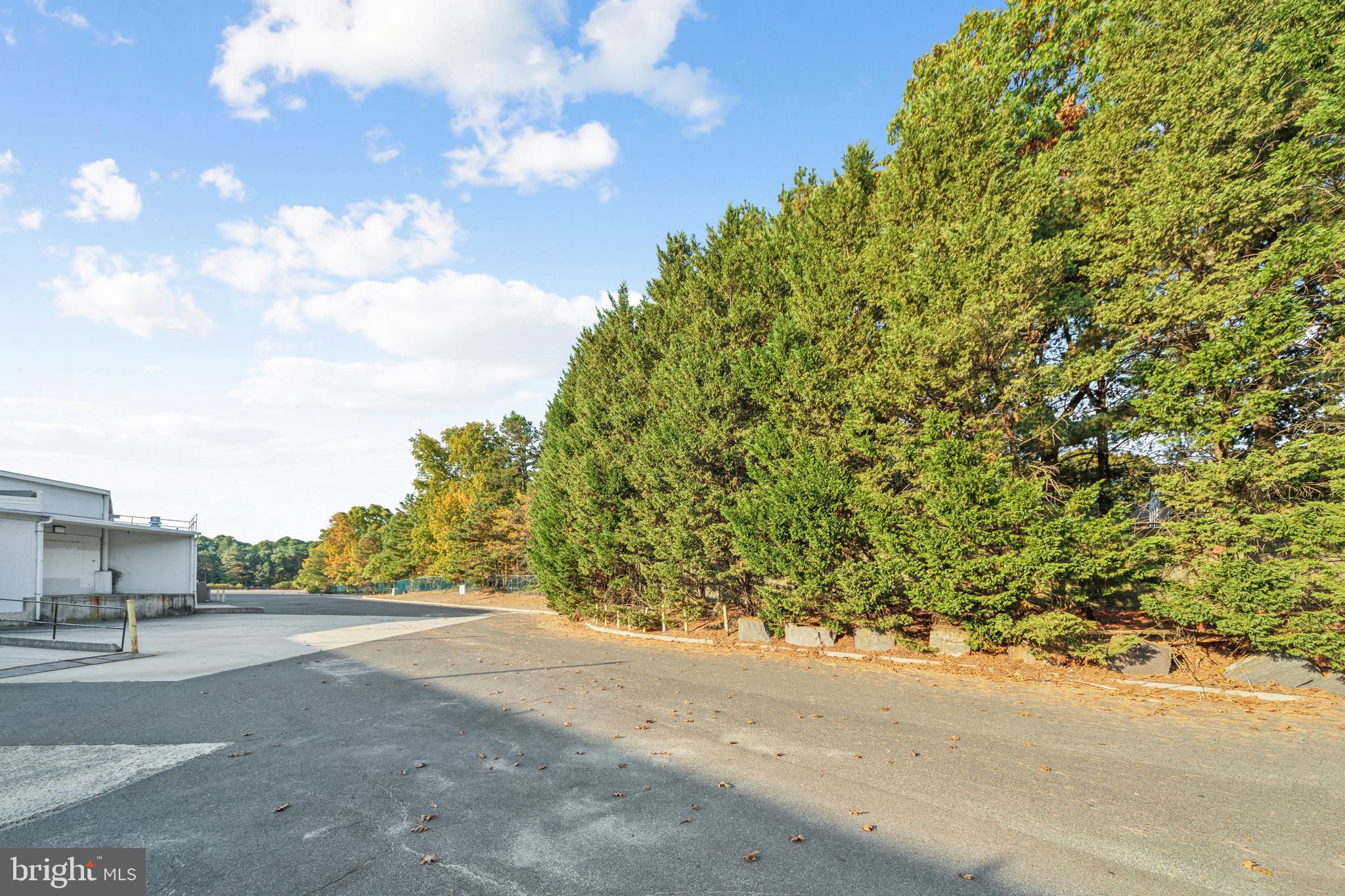 0 Cardinal Lane Voorhees, NJ 08043 - Photo 5 of 35 a view of a road with a yard