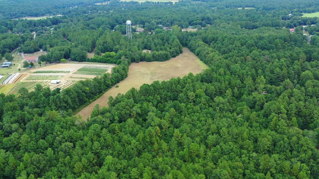 182 New Bridge Road Aiken, SC 29801 - Photo 2 of 18