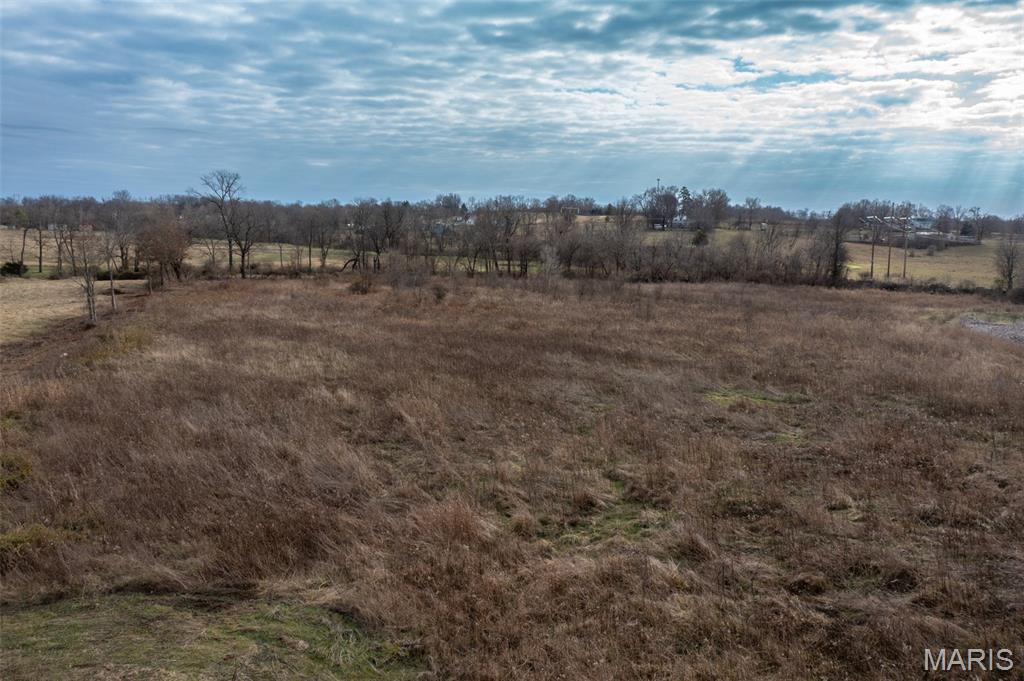 1213 Madison 211 Fredericktown, MO 63645 - Photo 4 of 13