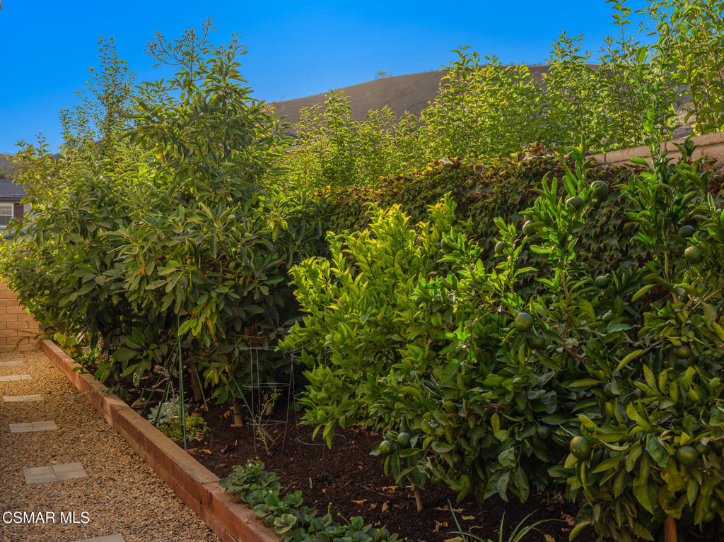7020 Highgrove Place Moorpark, CA 93021 - Photo 50 of 59 a view of a garden