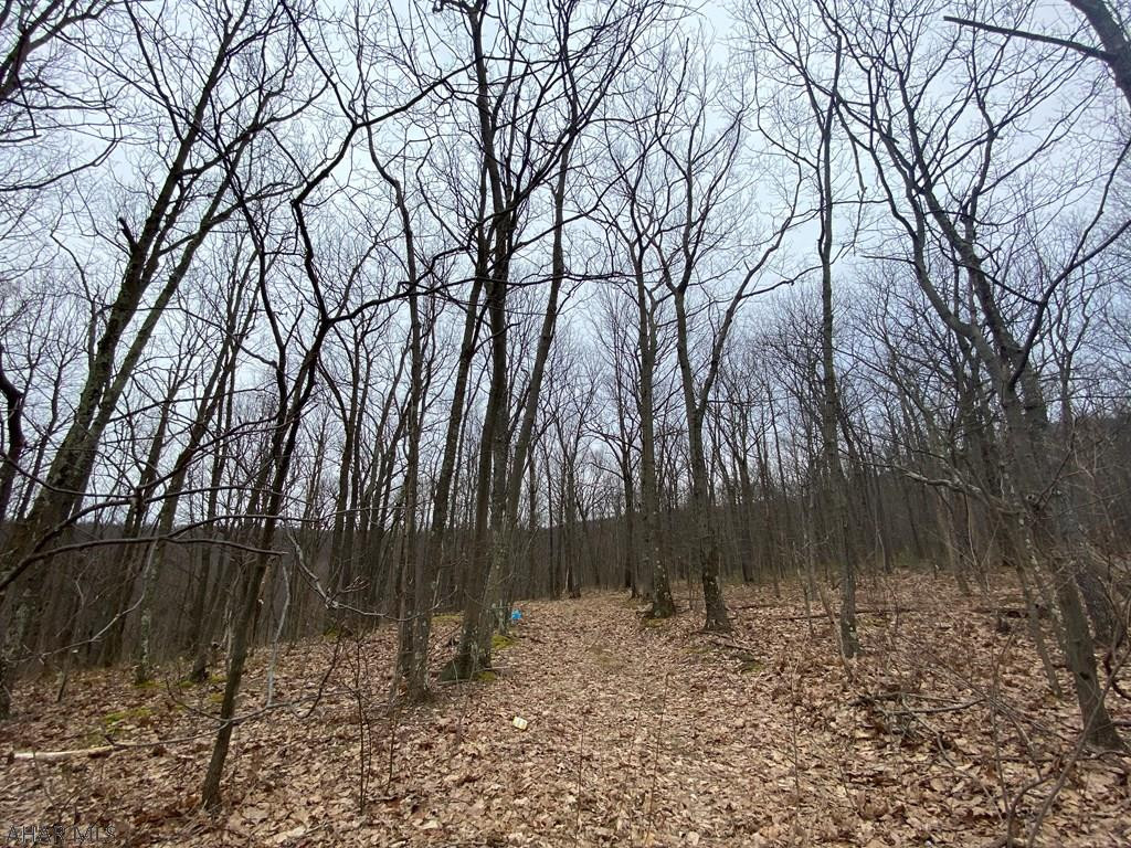 Off Rocklick Road New Paris, PA 15554 - Photo 7 of 9 Gallery Image 7