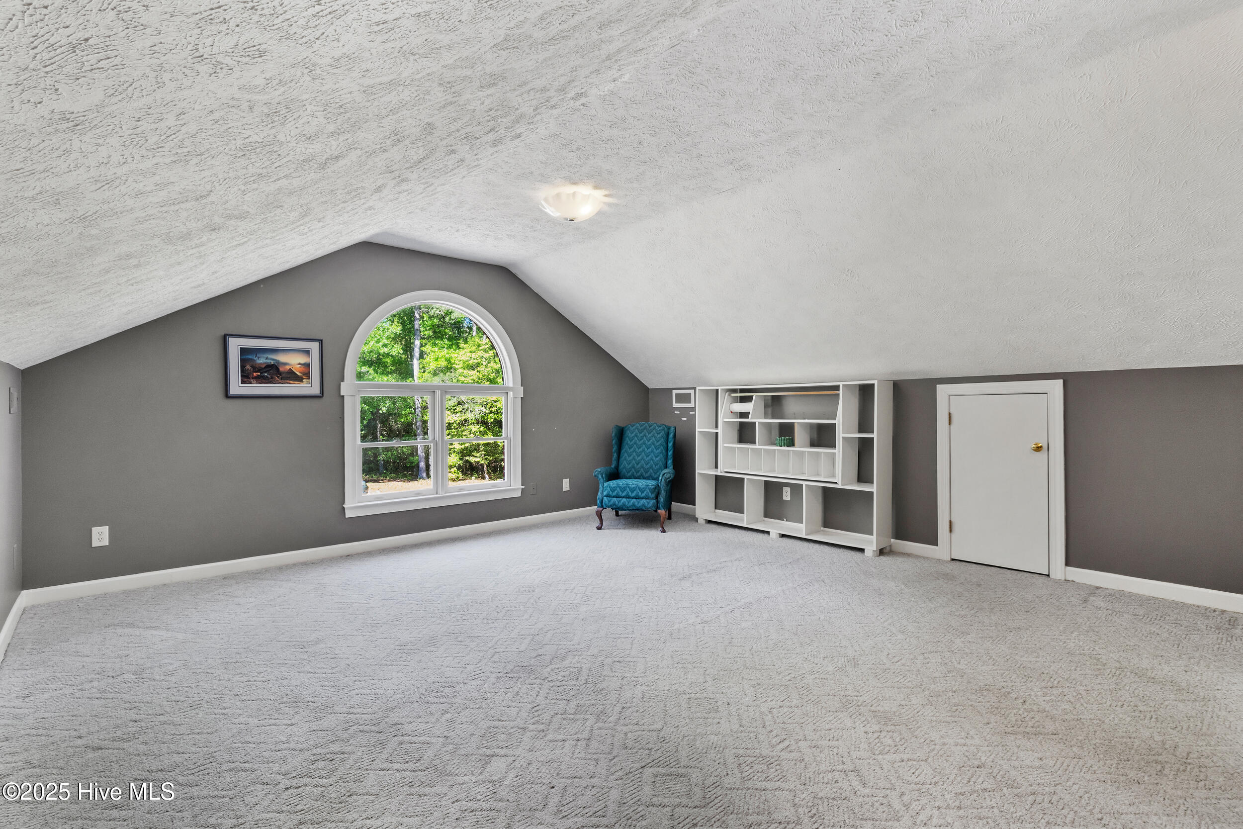 23338 State Highway 210 Currie, NC 28435 - Photo 30 of 51 37_frog