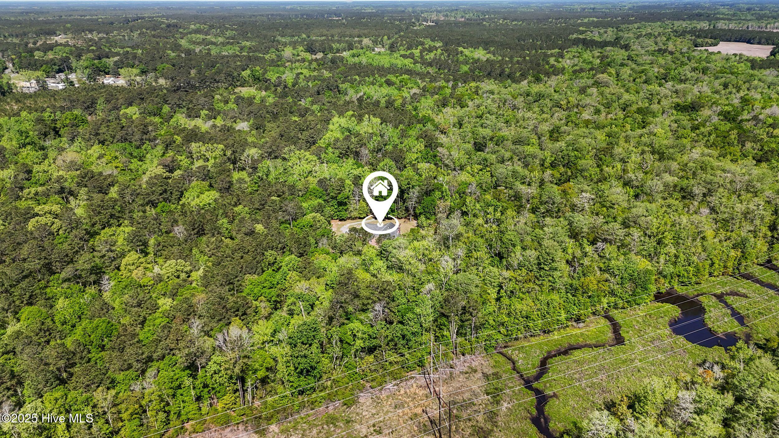 23338 State Highway 210 Currie, NC 28435 - Photo 43 of 51 44_drone