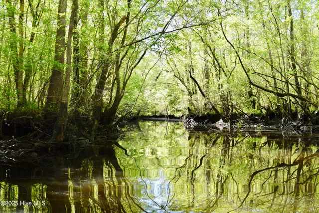 $675,000 | 23338 State Highway 210, Currie, NC 28435