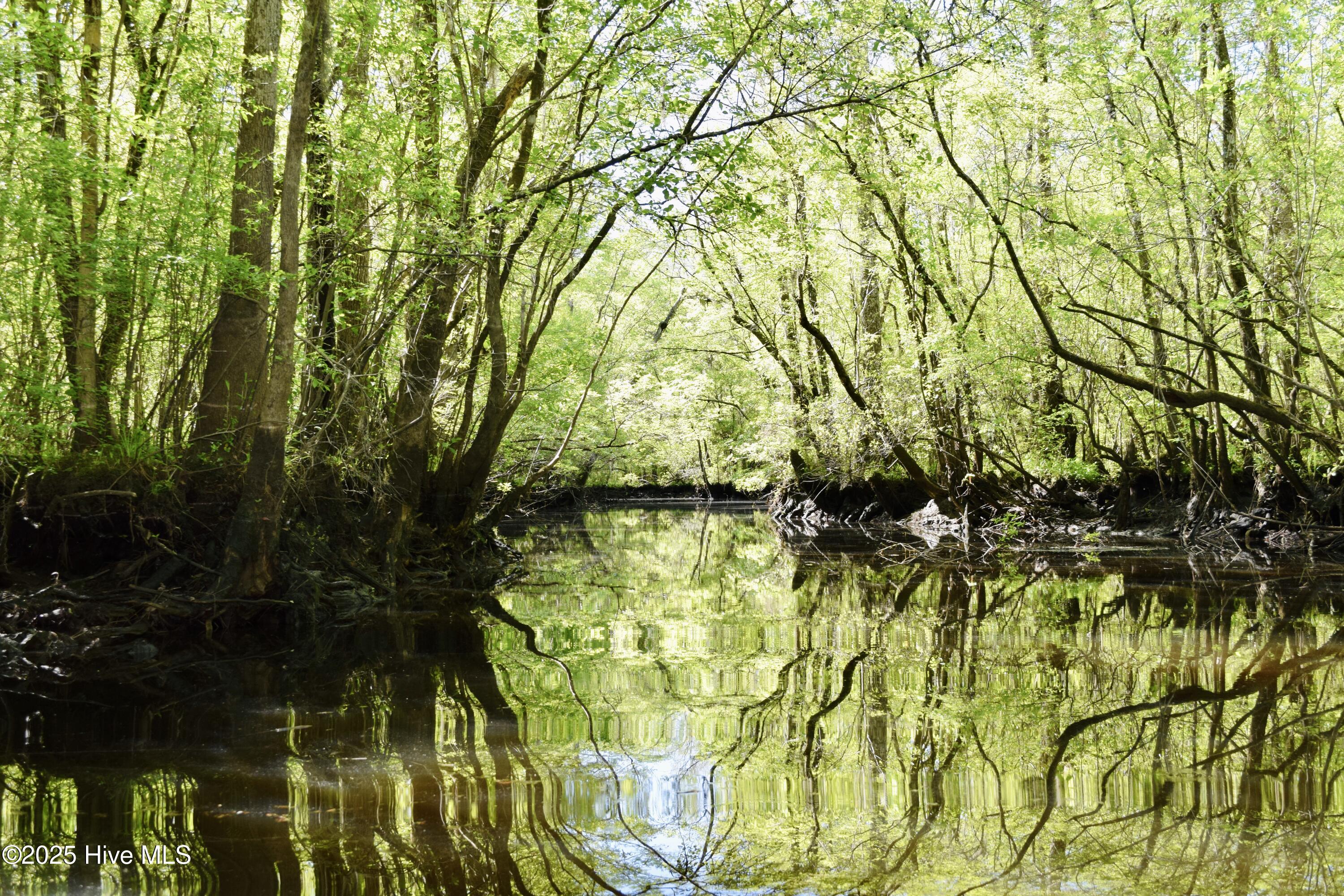 23338 State Highway 210 Currie, NC 28435 - Photo 47 of 51 DSC_0901
