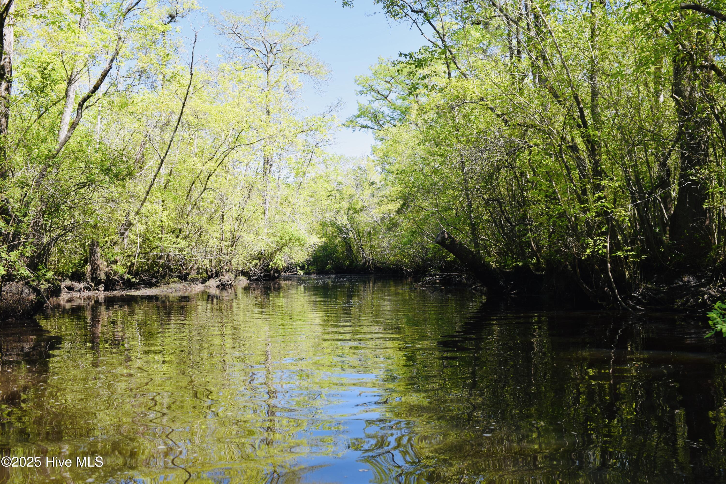 23338 State Highway 210 Currie, NC 28435 - Photo 48 of 51 DSC_0907 2