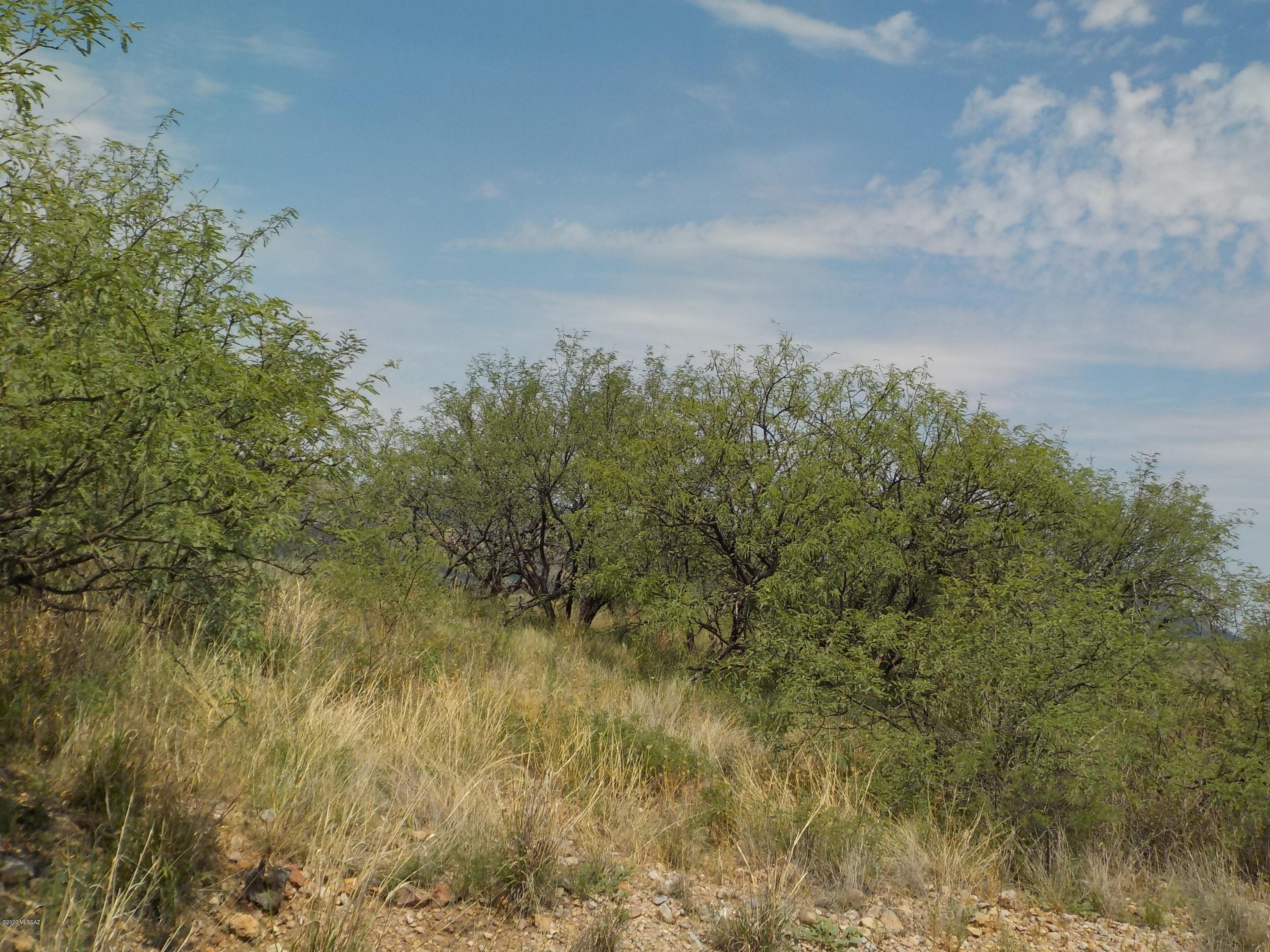 734 Arnoldo Court, Unit 3 Rio Rico, AZ 85648 - Photo 7 of 11