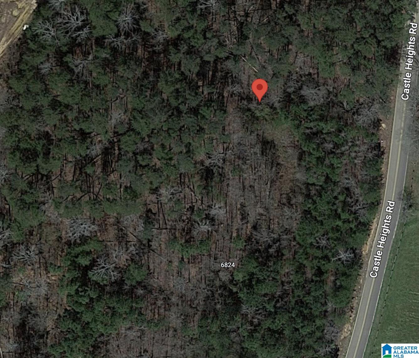 6824 Castle Heights Road, Unit 2 Morris, AL 35116 - Photo 1 of 1