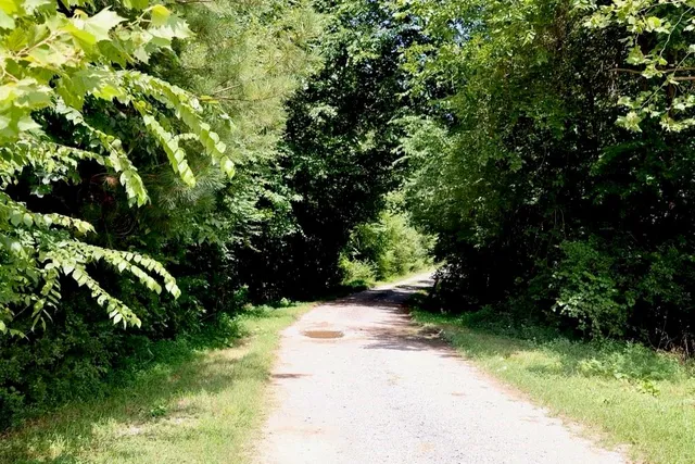 a view of a garden with trees
