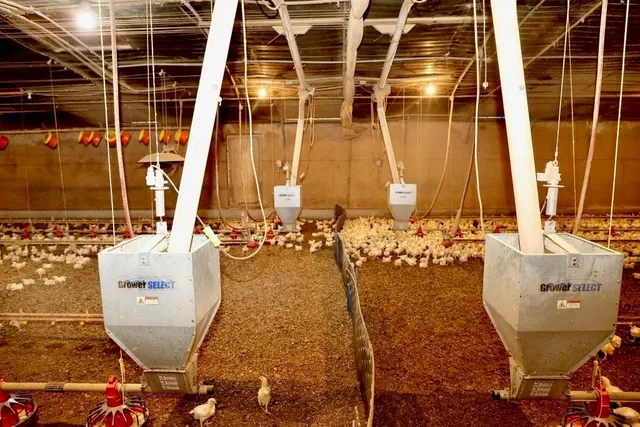 a view of under construction room