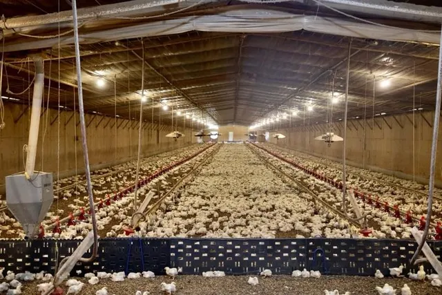 $1,750,000 | 1487 Maple Grove Church Road, Resaca, GA 30735