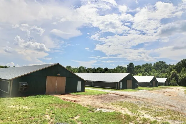 a view of a yard with wooden fence