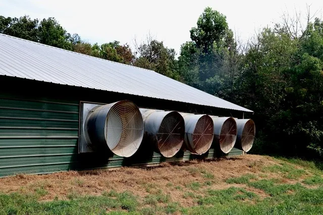 a backyard of a house with wooden floor and fence