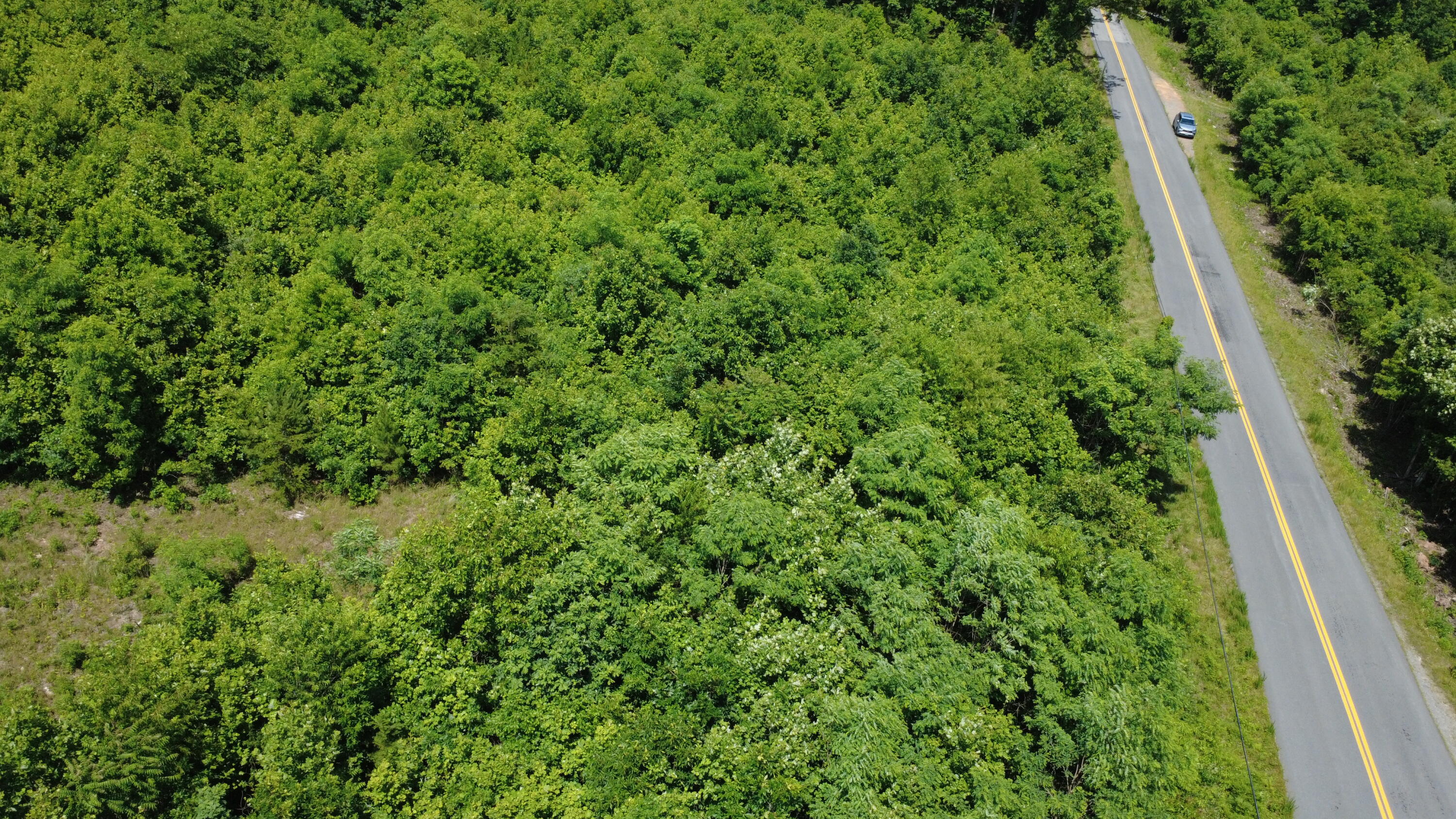 0 Craig Creek Road Eagle Rock, VA 24085 - Photo 2 of 25 a view of a lush green forest
