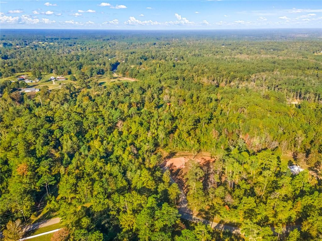 82045 Bealer Road Bush, LA 70431 - Photo 3 of 10 Gallery Image 3