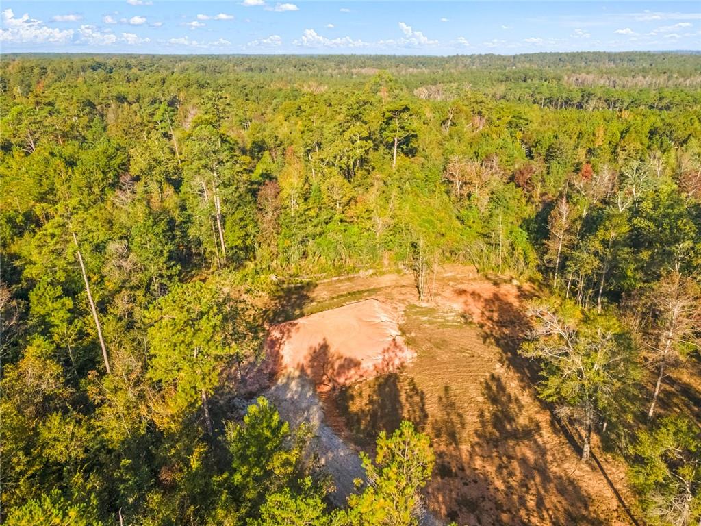82045 Bealer Road Bush, LA 70431 - Photo 4 of 10 Gallery Image 4