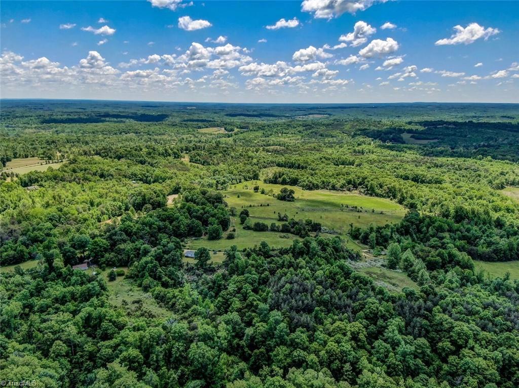 341 Wharton Road Ruffin, NC 27320 - Photo 4 of 11