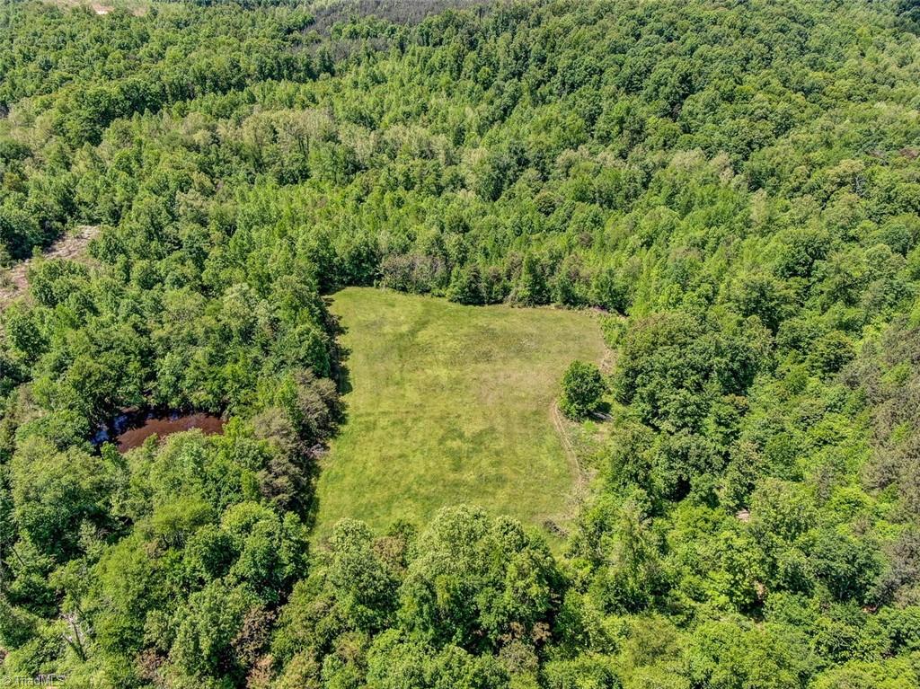 341 Wharton Road Ruffin, NC 27320 - Photo 7 of 11