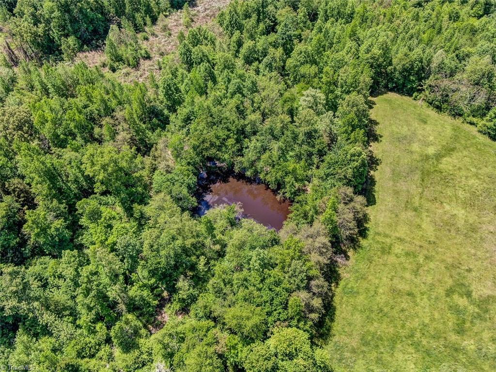 341 Wharton Road Ruffin, NC 27320 - Photo 8 of 11