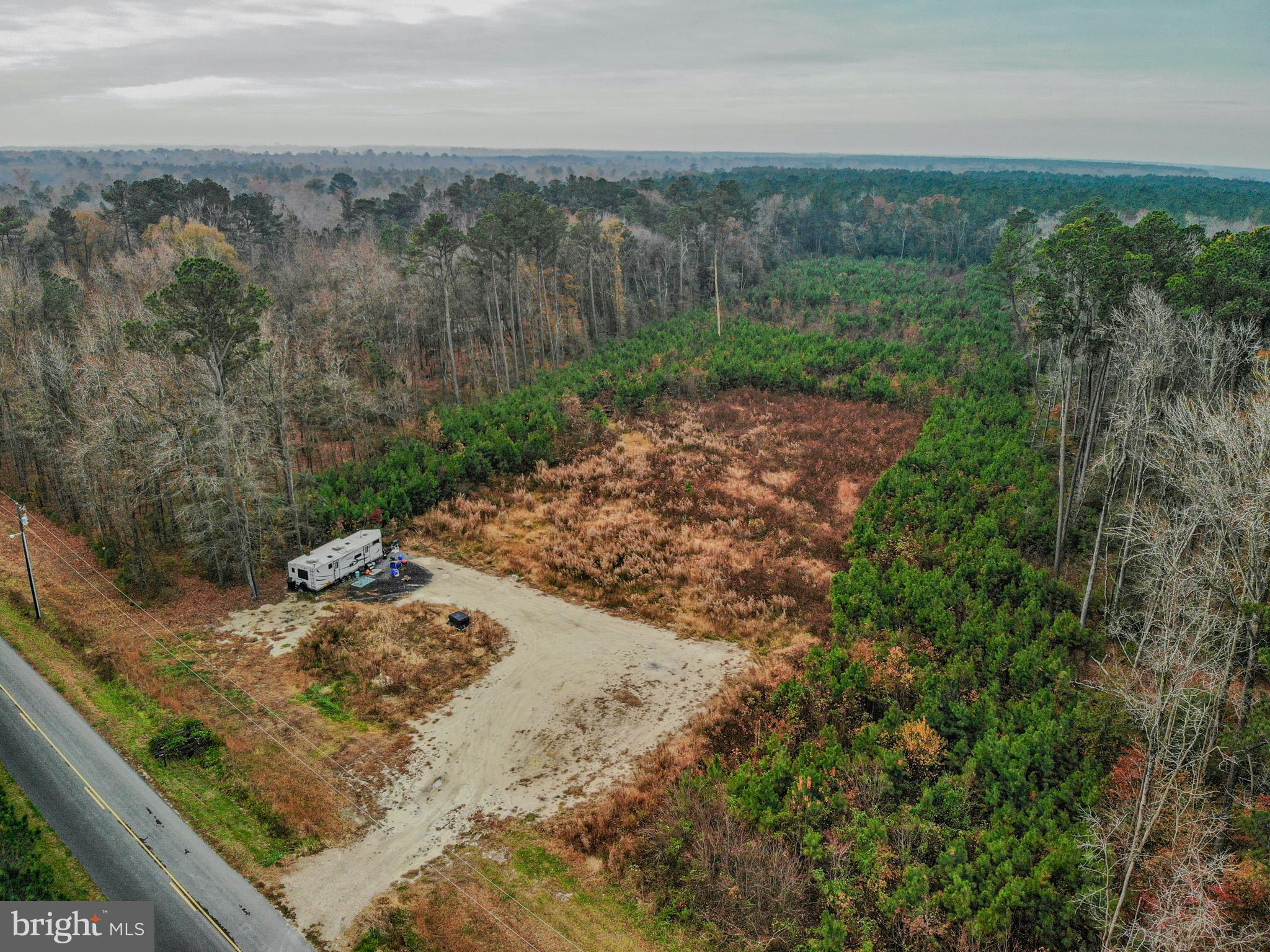 4833 Centennial Road Rhodesdale, MD 21659 - Photo 2 of 9 a view of a yard with wooden fence