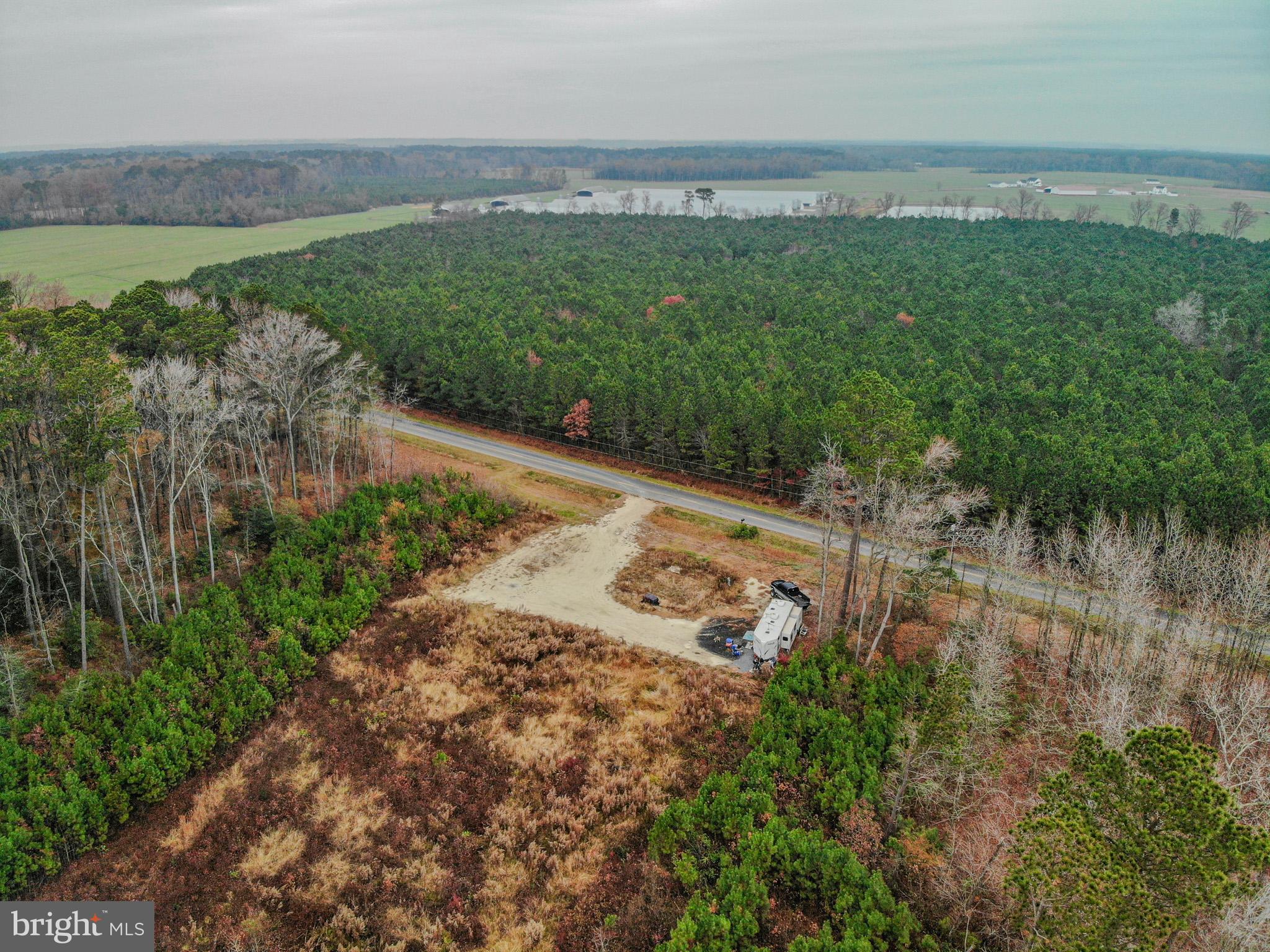4833 Centennial Road Rhodesdale, MD 21659 - Photo 4 of 9 a view of a street with a yard and mountain in the back