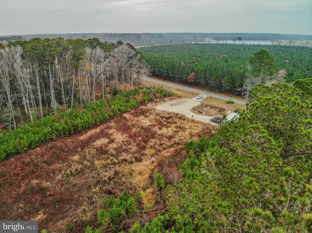 a view of a pathway with a park