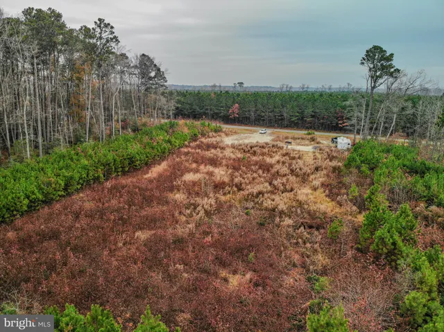a view of a pathway with a garden