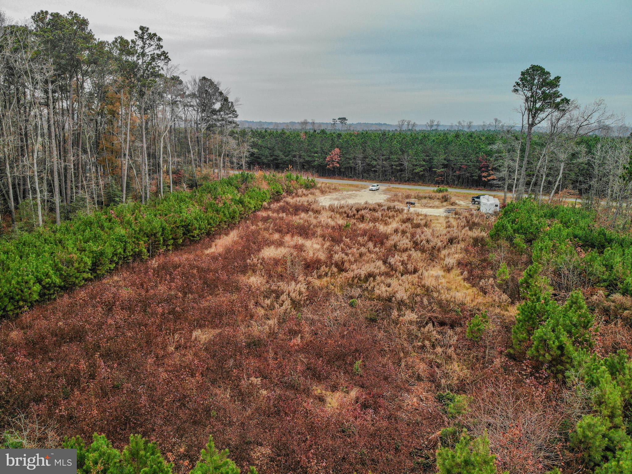 4833 Centennial Road Rhodesdale, MD 21659 - Photo 6 of 9 a view of a pathway with a garden