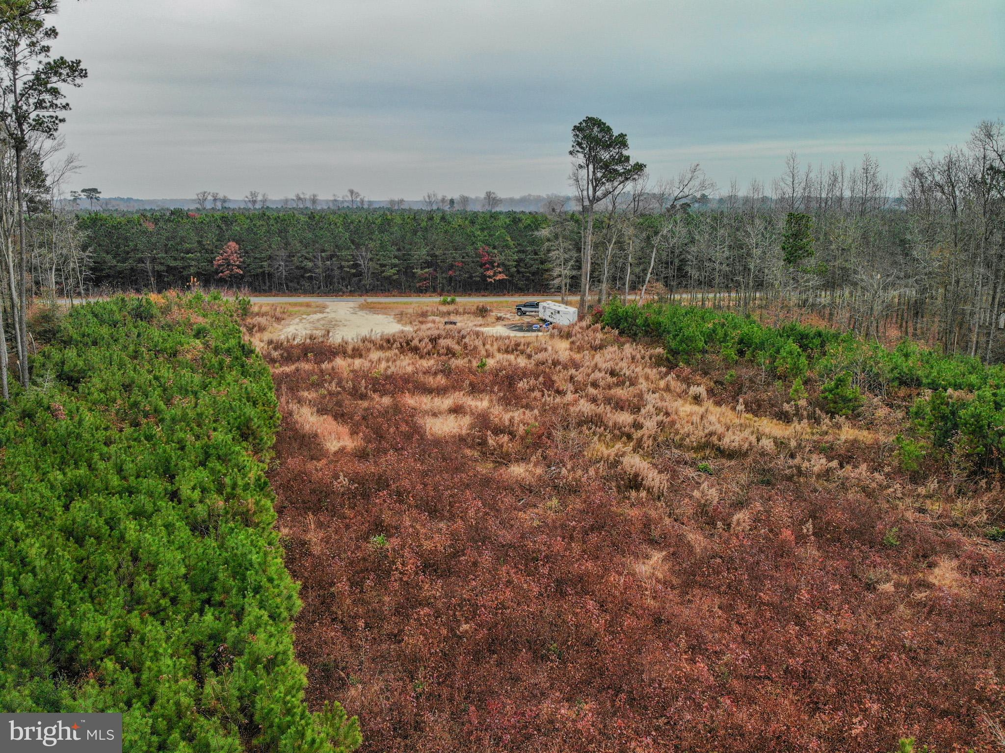 4833 Centennial Road Rhodesdale, MD 21659 - Photo 7 of 9 a view of a lake