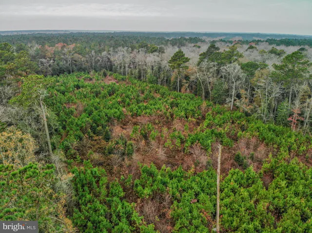 a view of a green field with lots of bushes
