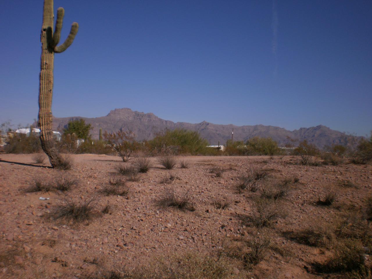 2872 South Cortez Road Apache Junction, AZ 85119 - Photo 1 of 2 Views of the mountain