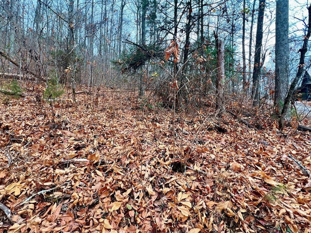 10 Shagbark Hickory Ridge Sevierville, TN 37862 - Photo 1 of 28 Gallery Image 1