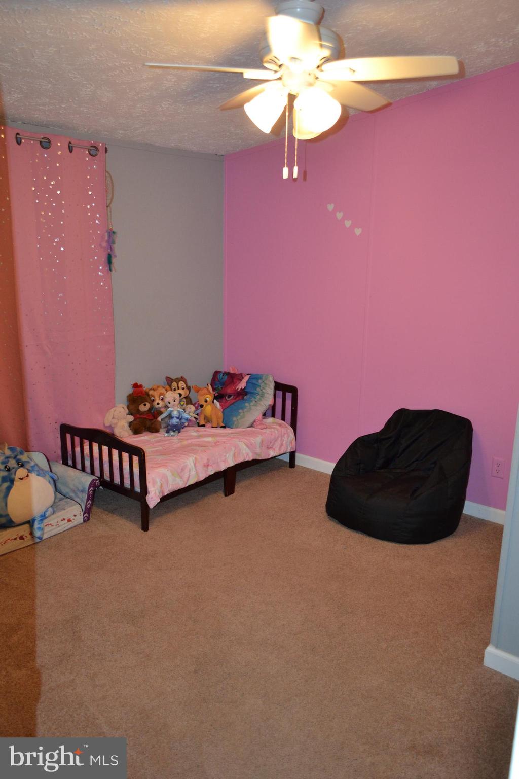 440 Goodwin Store Road Louisa, VA 23093 - Photo 14 of 19 2nd Bedroom