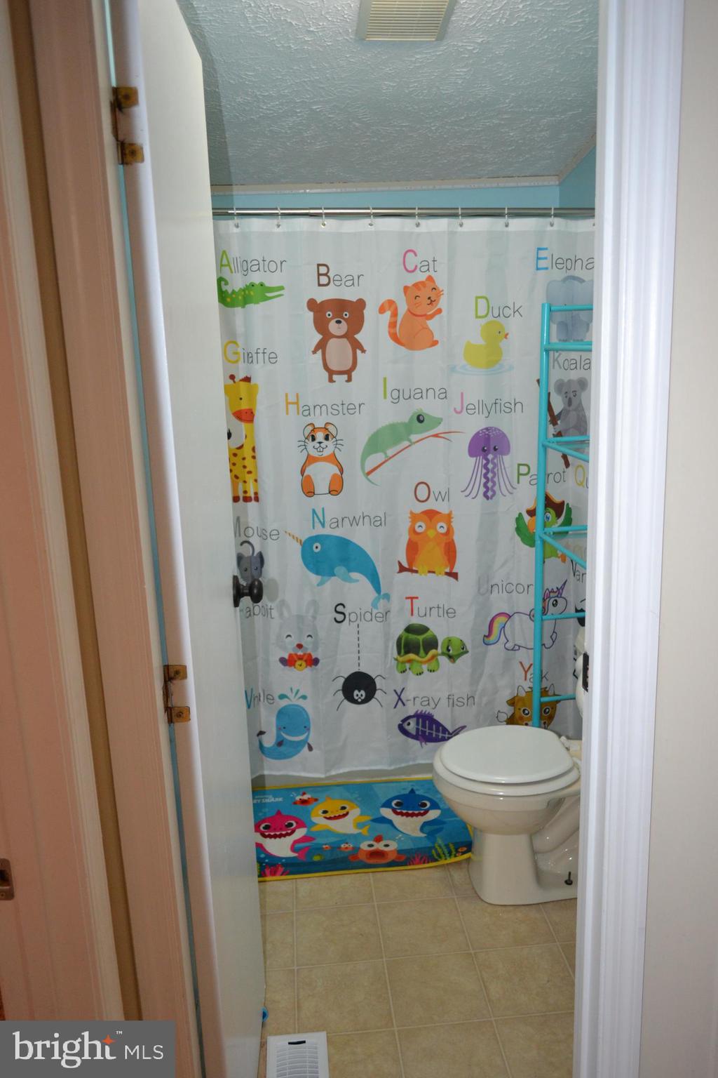 440 Goodwin Store Road Louisa, VA 23093 - Photo 16 of 19 2nd Bathroom