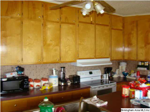 121 Fox Rdg Court Weogufka, AL 35183 - Photo 5 of 20