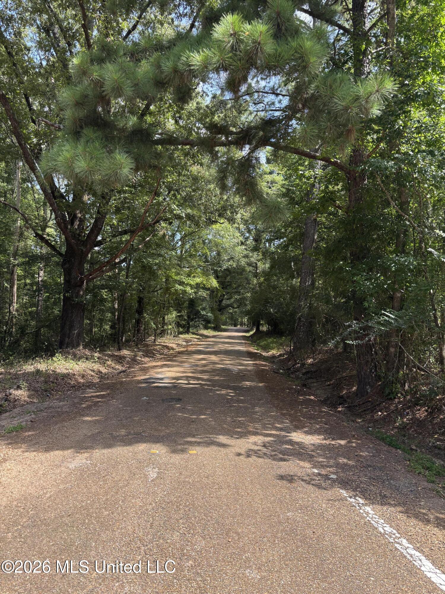 0 L Dixon Rogers Road Pinola, MS 39149 - Photo 6 of 8 Highway 28 View