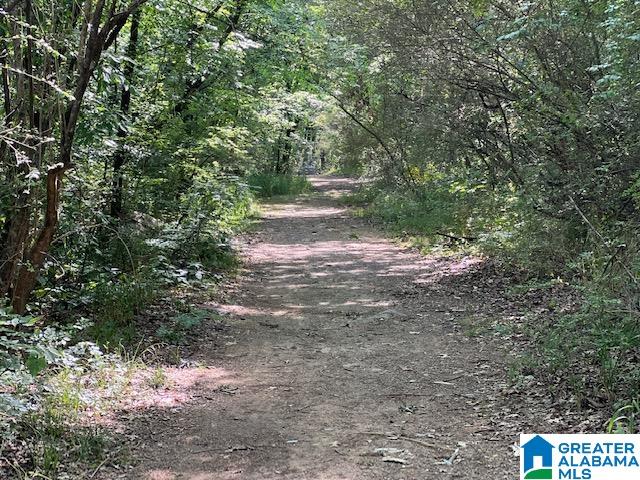 1612 Oliver Road Leeds, AL 35094 - Photo 33 of 36