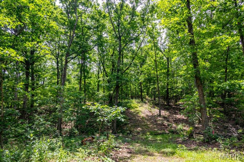1-00 Summit Road Hartville, MO 65667 - Photo 84 of 89 Gallery Image 84