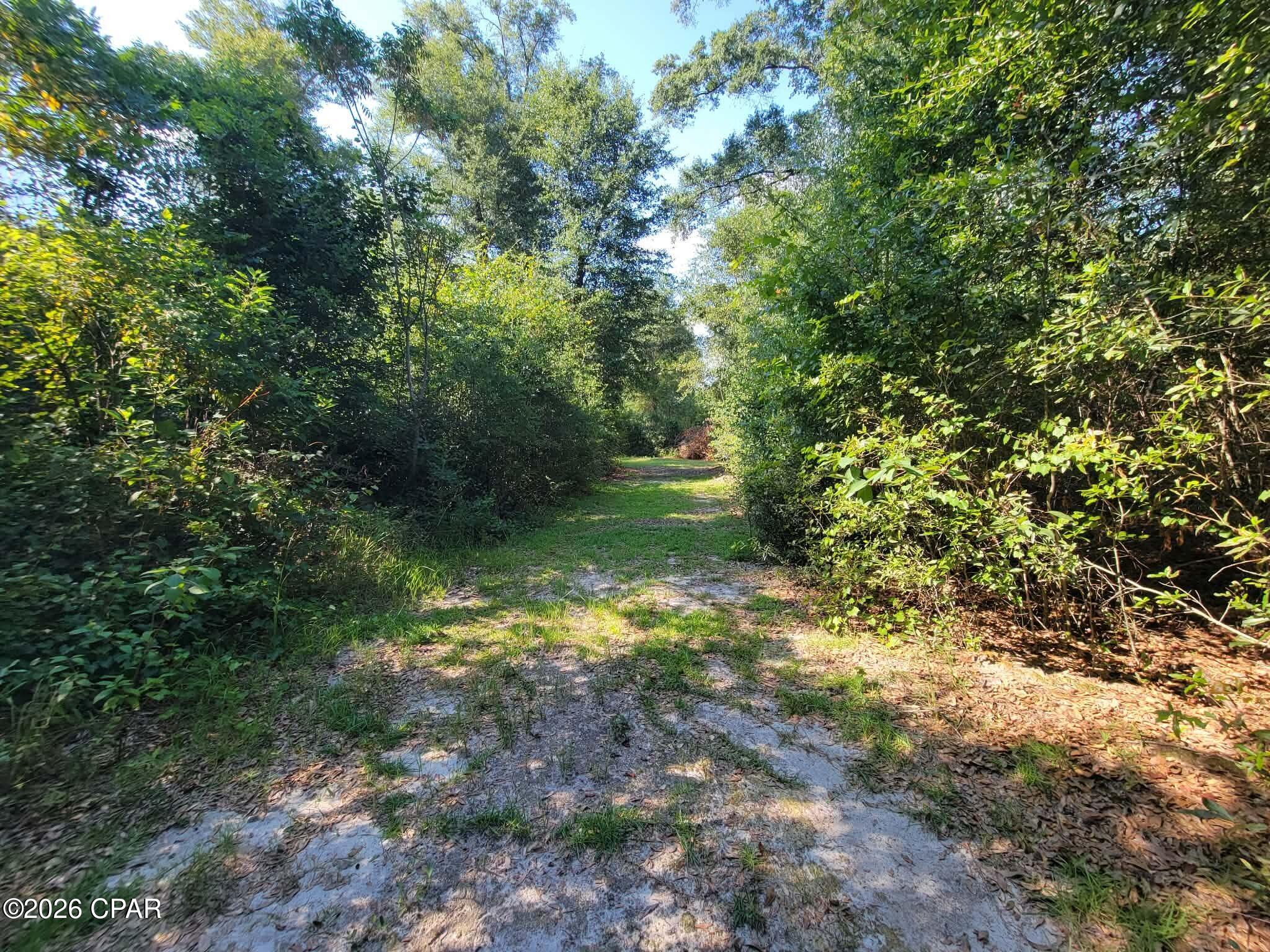 0 Ditty Road Bascom, FL 32423 - Photo 28 of 34