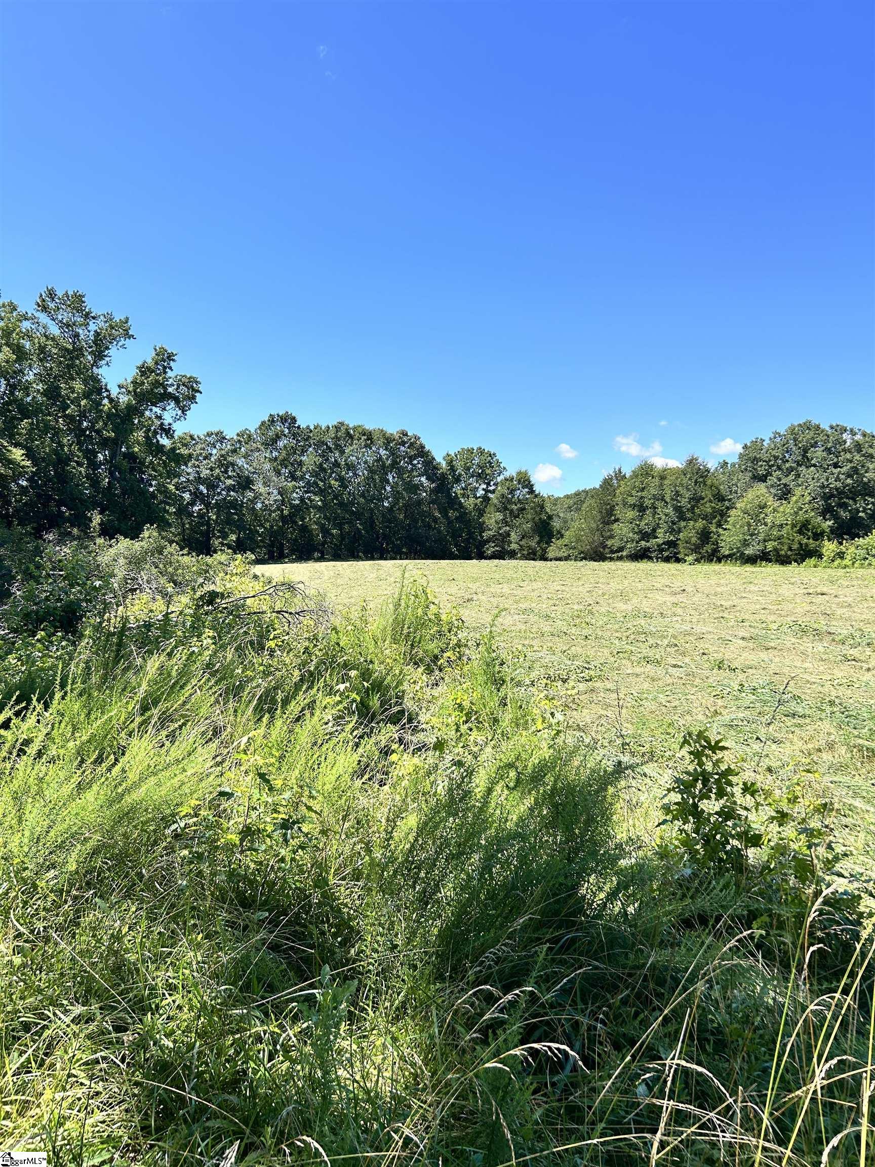 9 Sc - 413 Highway Anderson, SC 29621 - Photo 8 of 14