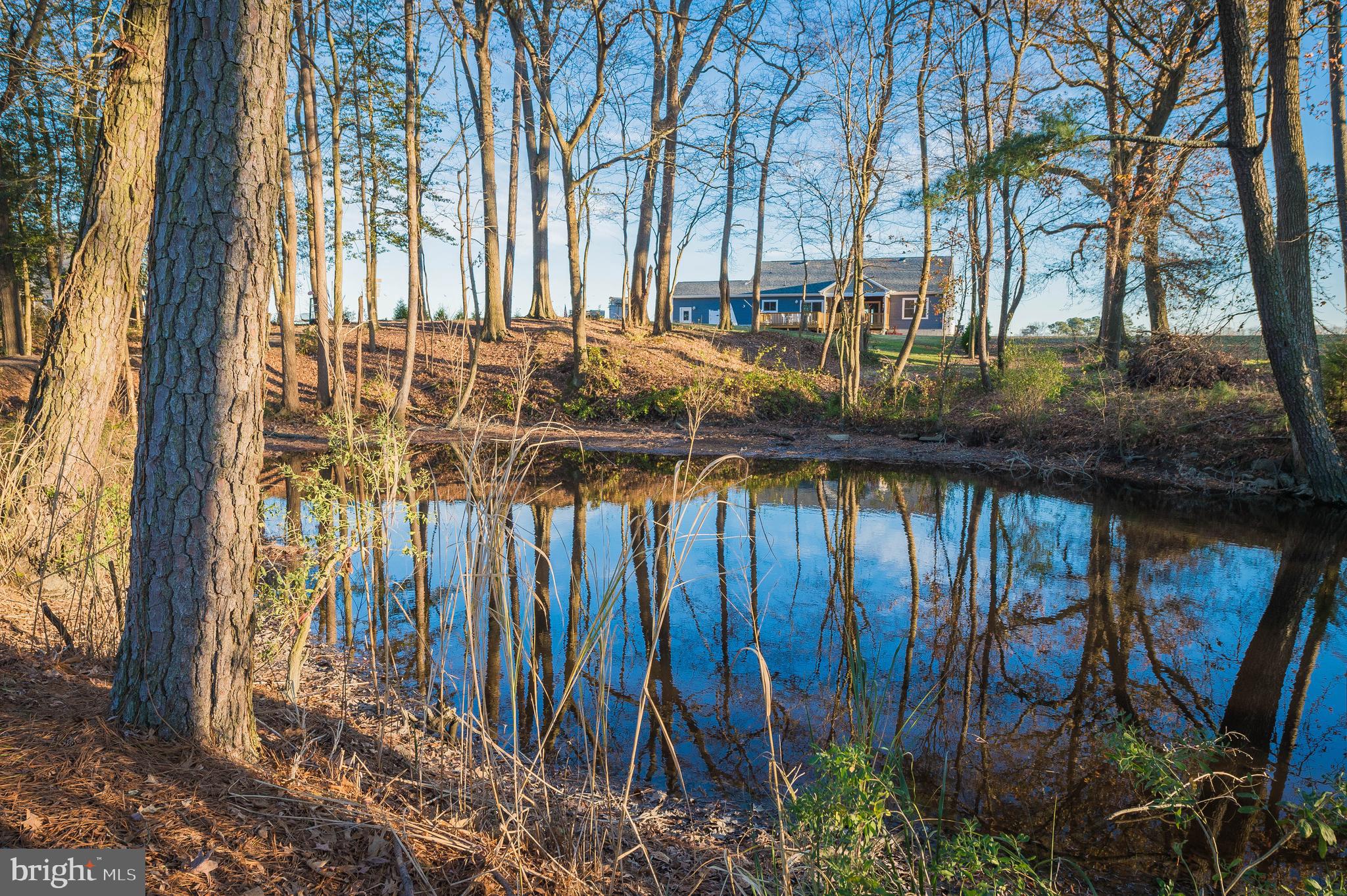 3192 Noble Farm Road Eden, MD 21822 - Photo 23 of 83