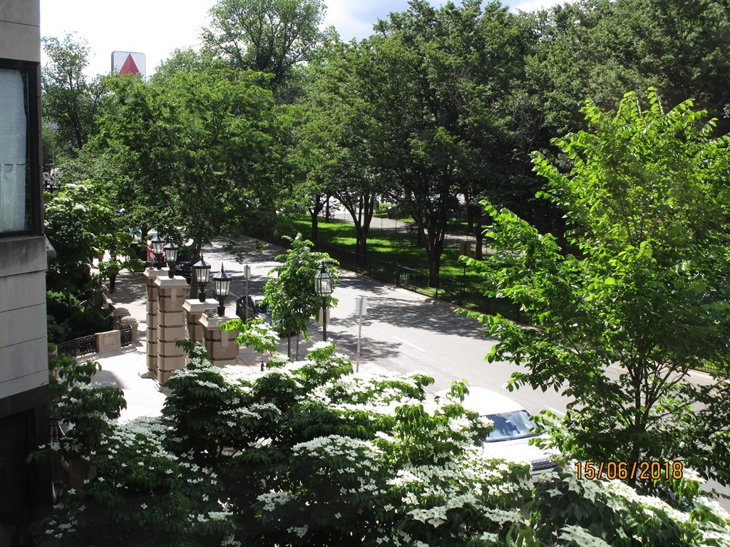 390 Commonwealth Avenue, Unit 210 Boston, MA 02215 - Photo 7 of 30 a backyard of a house with lots of green space and fountain in middle