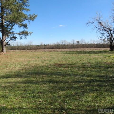 221 Morning Road Windsor, NC 27983 - Photo 3 of 23