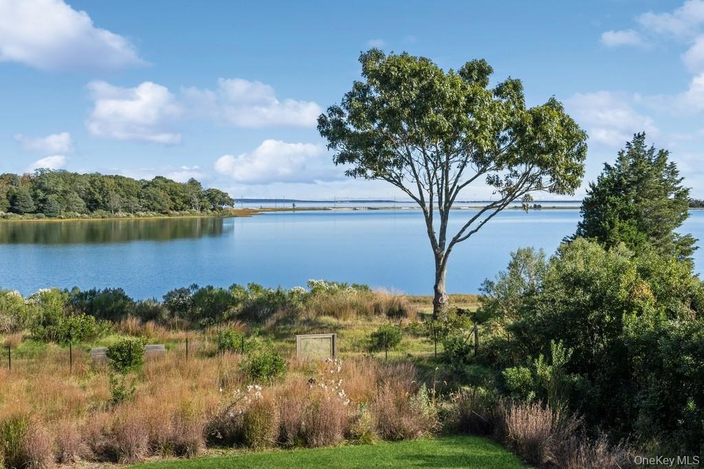 1080 Springs Fireplace Road East Hampton, NY 11937 - Photo 18 of 19