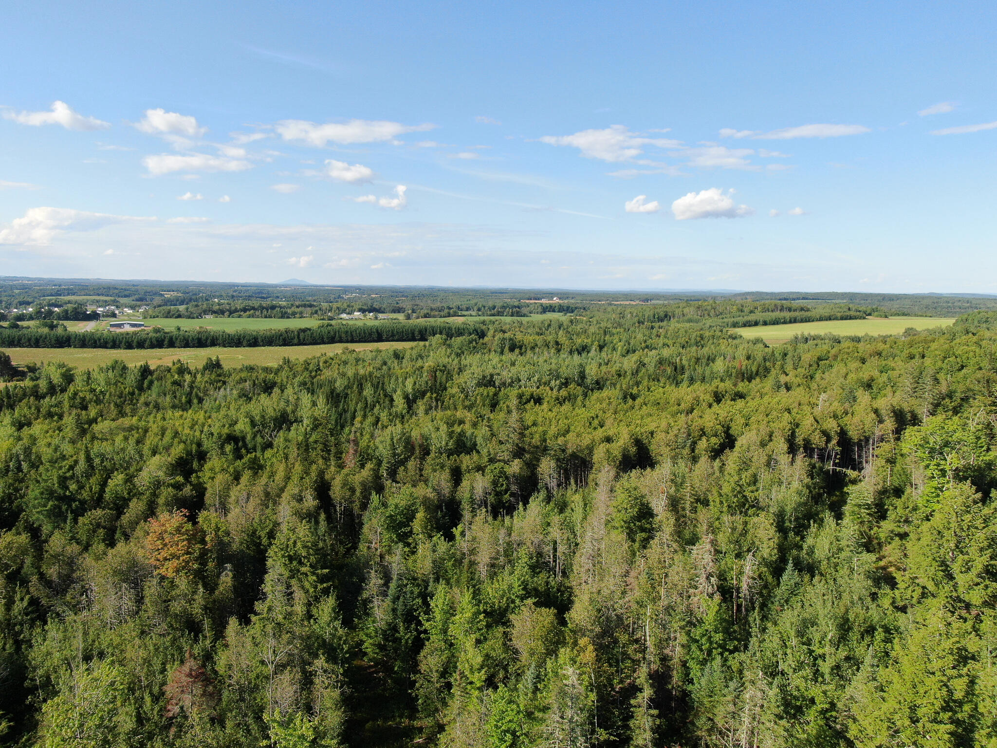 19 A Callnan Road Houlton, ME 04730 - Photo 8 of 11 DJI_0535