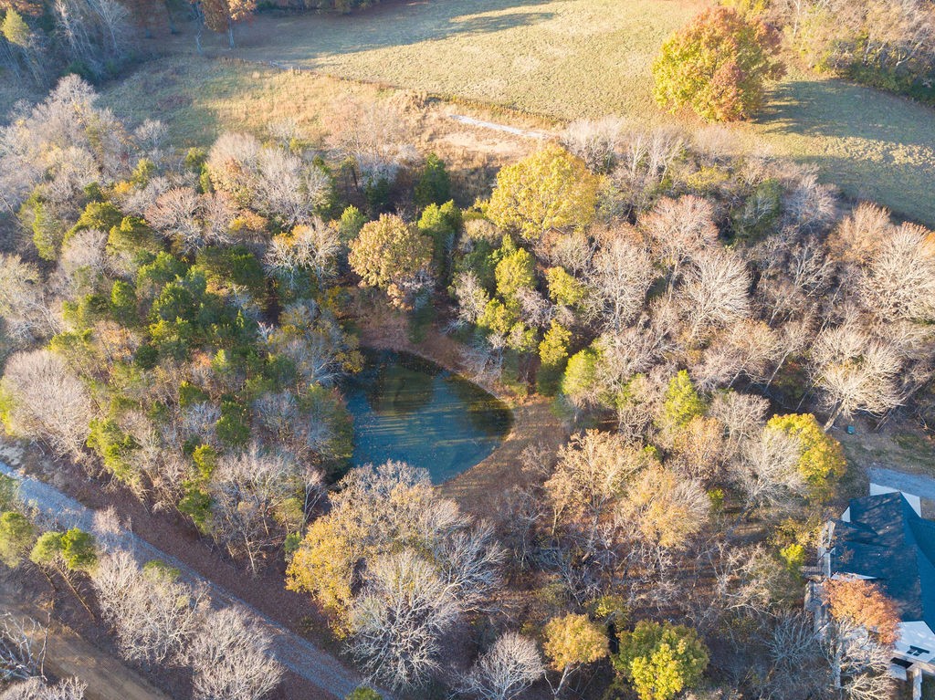 685 Wallace Road Gallatin, TN 37066 - Photo 5 of 64 The pond on 3.48 acres
